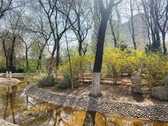 -桃花堤公园