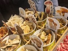 -菌自由丨野生菌火锅特色庭院餐厅(丽江古城店)