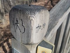 -帽儿山国家森林公园