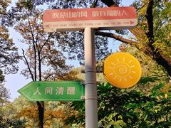 -句容茅山景区