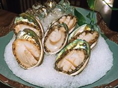 大连活鲍鱼-揽季锅物会.福建黄鱼.海鲜姿造(五四路店)