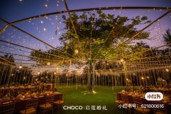 -CHOCO-启蔻婚礼(三亚公司)