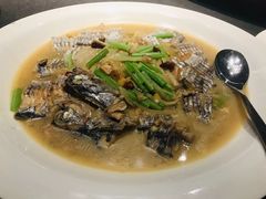 -隆荟•台州菜•粤菜