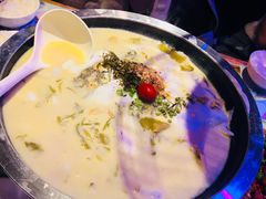 -蝴蝶汇音乐酒馆(罗湖店)