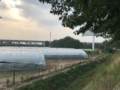 -庞各庄西瓜蔬菜采摘园·锦华瓜园