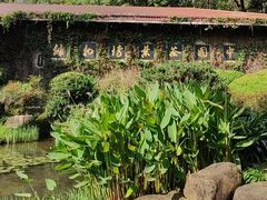 -中国茶叶博物馆(双峰馆区)