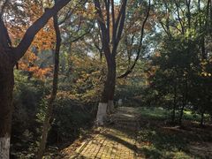 -虞山风景区