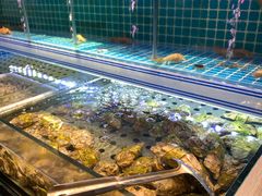 水产区-东厨虾煌(电子街店)