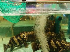 -阿伟海鲜楼·福建菜(延寿店)