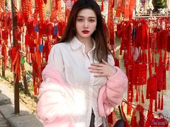 -茯茶镇
