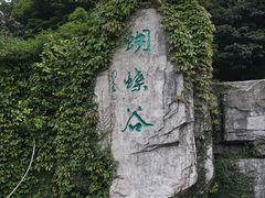 -梧桐山风景名胜区
