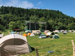 -武陵山森林公园