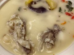 养颜白汁河豚-肆月河豚·新淮扬(金融街店)