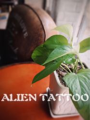 -异族刺青创意工作室