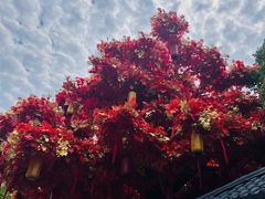 -芜湖方特东方神画