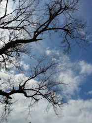 -杉惠素颜美妆皮肤管理中心