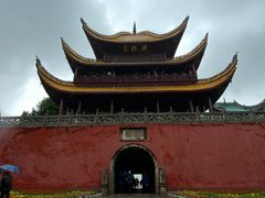 -巴陵全鱼席(湖南老字号汴河街店 )