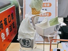 -野人先生现做冰淇淋(西安赛格店)