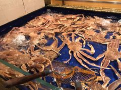 帝王蟹-高佳庄·舟山海鲜(海景旗舰店)