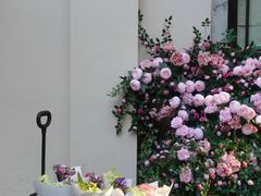 -也枫·小黄楼(南山路旗舰店)