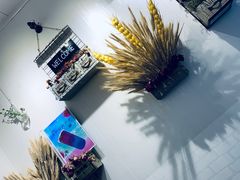 -夏叶茶(大光明店)