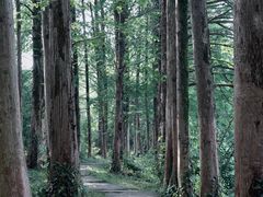 -茅家埠