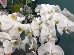 -南堂馆·新川菜(春熙路店)