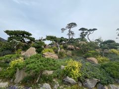 -罗红摄影艺术馆