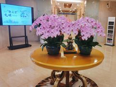 -上海吉臣维景酒店·维多利亚餐厅