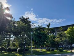 -奥林匹克体育中心游泳馆