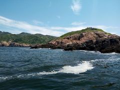 -枸杞岛