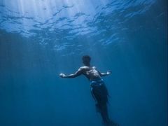 -石家庄极地海洋世界