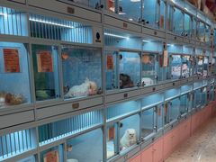 -FAELING PETS美天灵宠物(合生汇店)