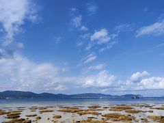 -三亚太阳湾柏悦酒店