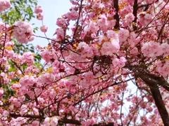 -西安创业咖啡街区