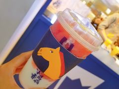 -春丽小马(济南恒隆广场店)