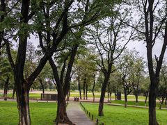 -汉长安城未央宫国家考古遗址公园