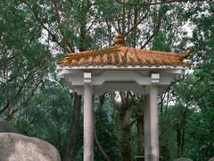 -火炉山森林公园