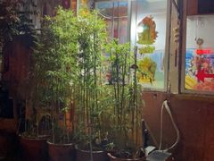 门面-陈记麻辣烫(浦口道店)
