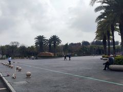 -宝安西湾红树林湿地公园