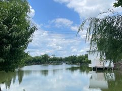 -雨湖公园