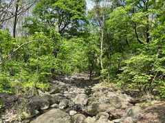 -香炉山国家森林公园