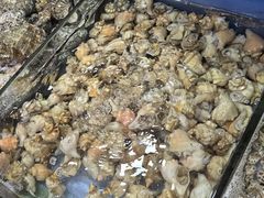 -张树军海鲜(王府壹号店)
