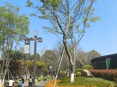 -成都市文化公园