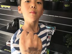 -圣淘沙天际线斜坡滑车