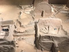 -洛阳周王城天子驾六博物馆