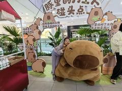-凯德MALL(西直门店)