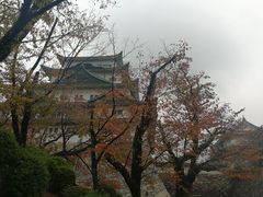 -名古屋城