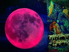 -成都梵高星空艺术馆(春熙路旗舰店)
