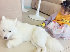 -怪兽屋·羊驼·猫咖·狗咖(俊华广场店)